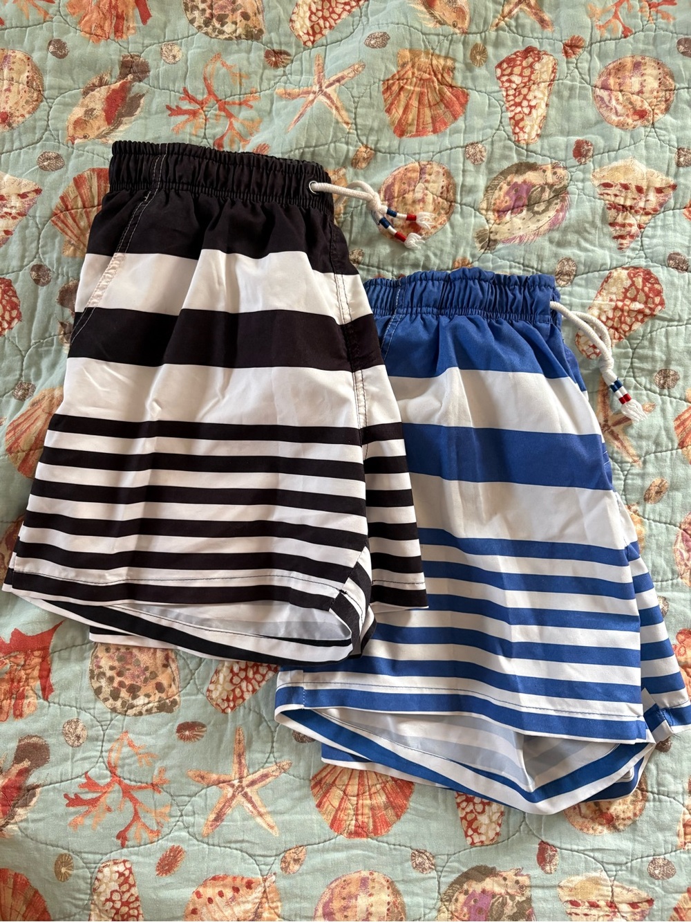 Men’s Striped Swim Trunks Bundle